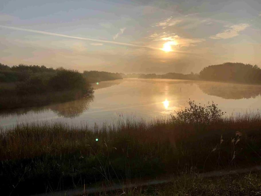 Bazien Luxe Kamer Bij Strand En Kreek Natuur En Veel Faciliteiten Westkapelle Eksteriør billede