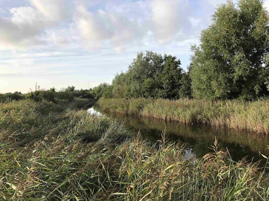 Bazien Luxe Kamer Bij Strand En Kreek Natuur En Veel Faciliteiten Westkapelle Eksteriør billede