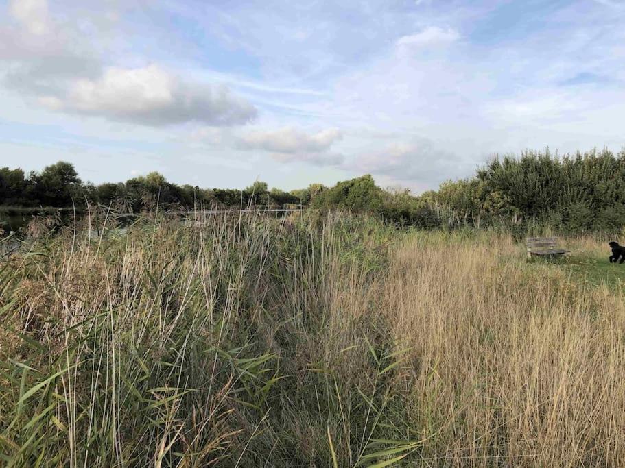 Bazien Luxe Kamer Bij Strand En Kreek Natuur En Veel Faciliteiten Westkapelle Eksteriør billede